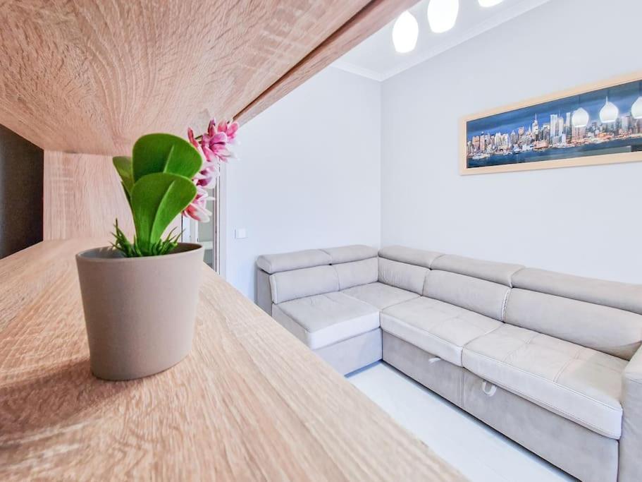 Puccio Home - Central Station Verona Eksteriør bilde